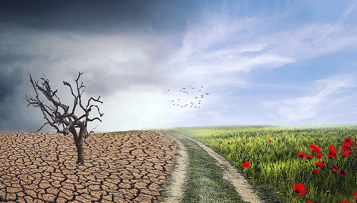 CEDU's climate_banner.jpg